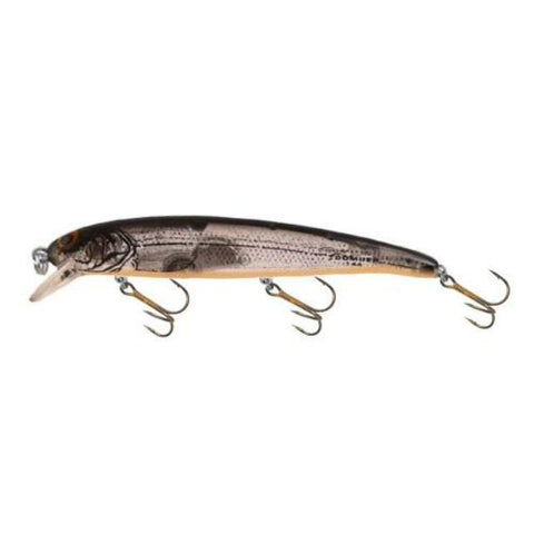 BOMBER LONG A SILVER FLASH/BLACK BACK/ORG BELLY