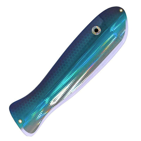 Kingfisher II - Jellyfish Blue Angel