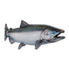 Salmon Decals