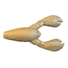 Great Lakes Finesse 2.1" Snack Craw