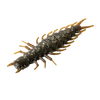 Great Lakes Finesse 2.4" Juicy Hellgrammite