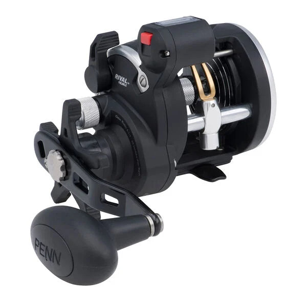 best levelwind fishing reels Penn Rival Level Wind Line Counter Reel – Fat Nancy's Tackle Shop