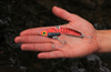 SteelShad XL  - 3/4 oz - Red (crawfish)