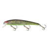 BOMBER LONG A YELLOW PERCH